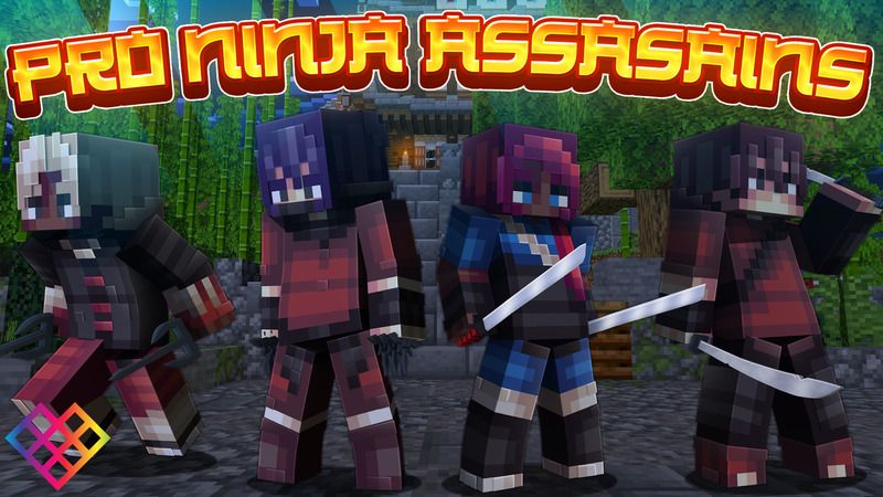 Pro Ninja Assasains