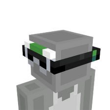 Ski Goggles Ski Goggles