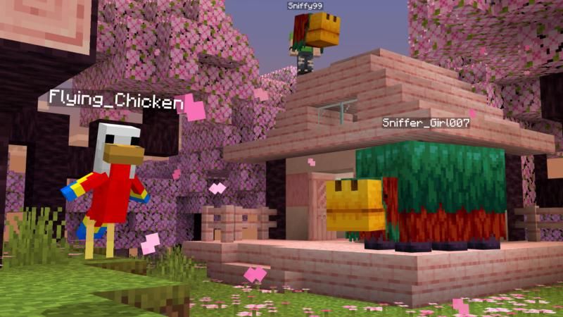 MIX + MORPH by Shapescape