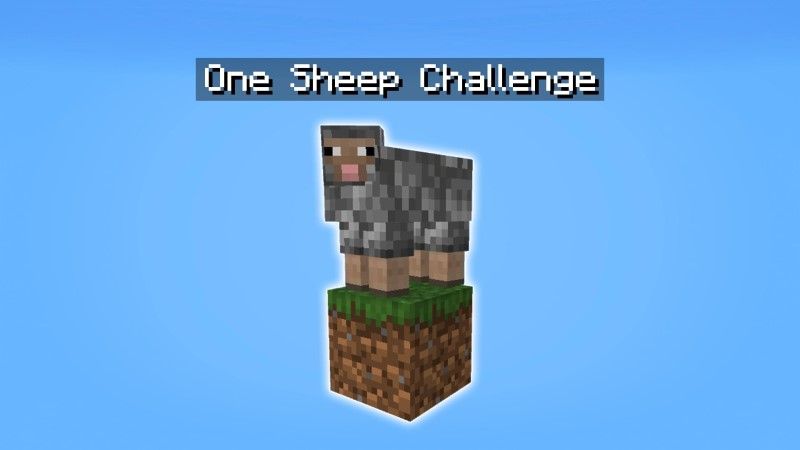 One Sheep Challenge on the Minecraft Marketplace by Lifeboat