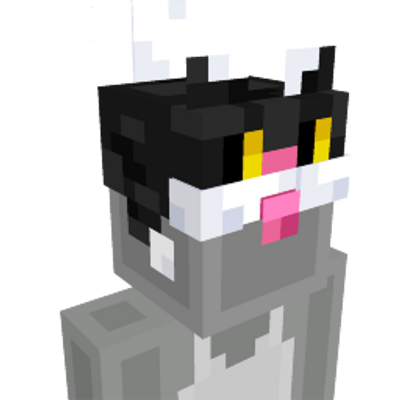 Cat Hat on the Minecraft Marketplace by Dalibu Studios