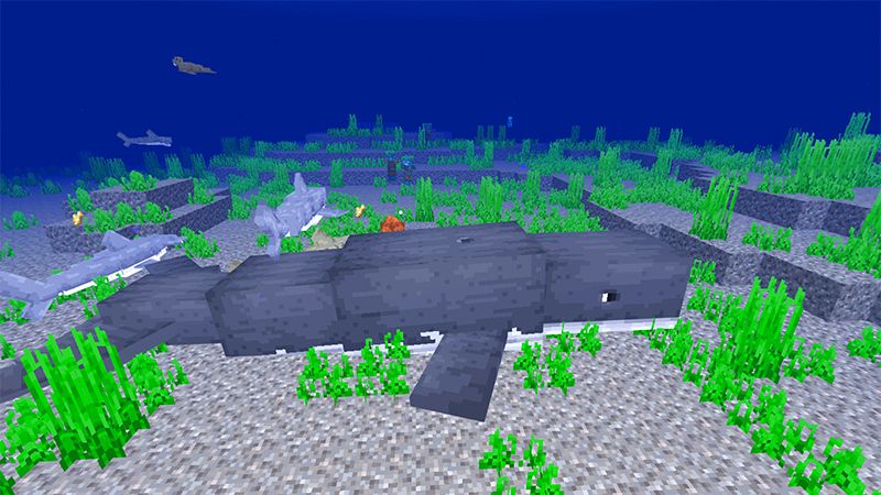 Ocean Expansion Add-On 3.0 by Hourglass Studios