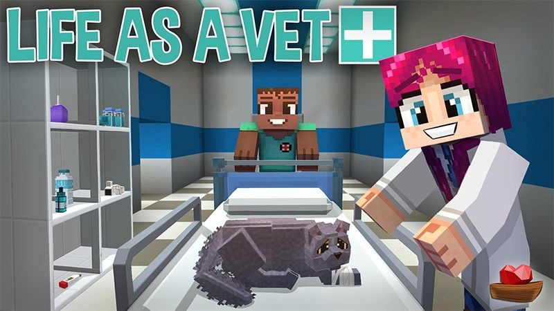 Life as a Vet on the Minecraft Marketplace by Lifeboat
