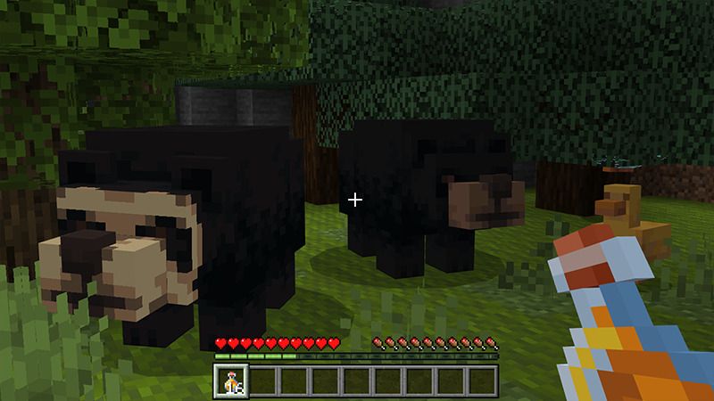 Animals Add-On by Endorah