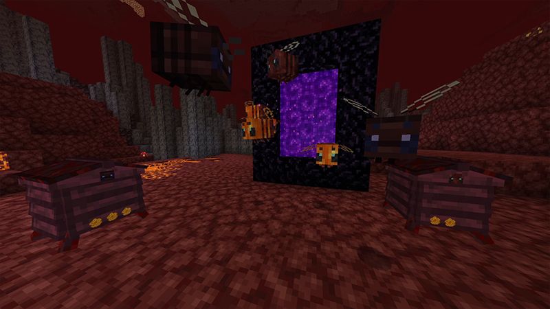 Feed the Bees Feed the Bees by FTB