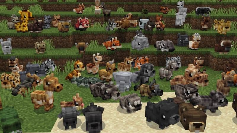 BABY ANIMALS Add-On by Maca Designs