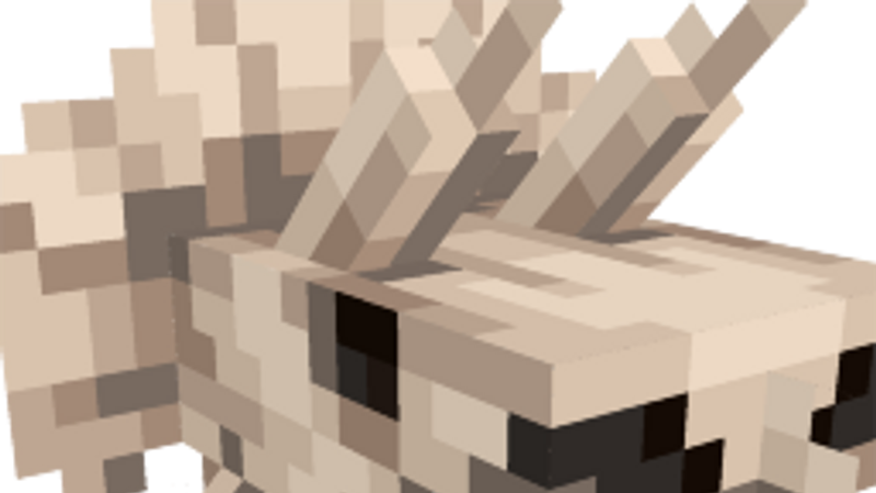 Triceratops Skull on the Minecraft Marketplace by CrackedCubes