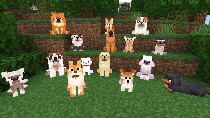 Cute Dogs Add-On by Octovon