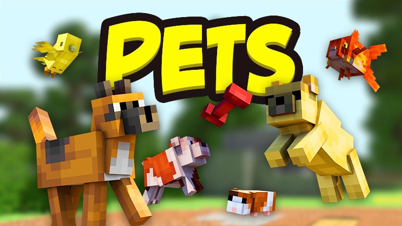 Pets on the Minecraft Marketplace by Team Vaeron