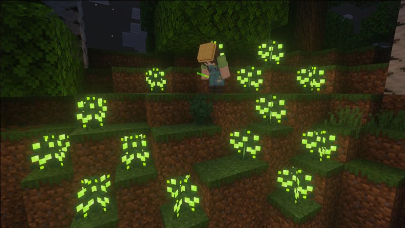 XP Berries by Block Perfect Studios