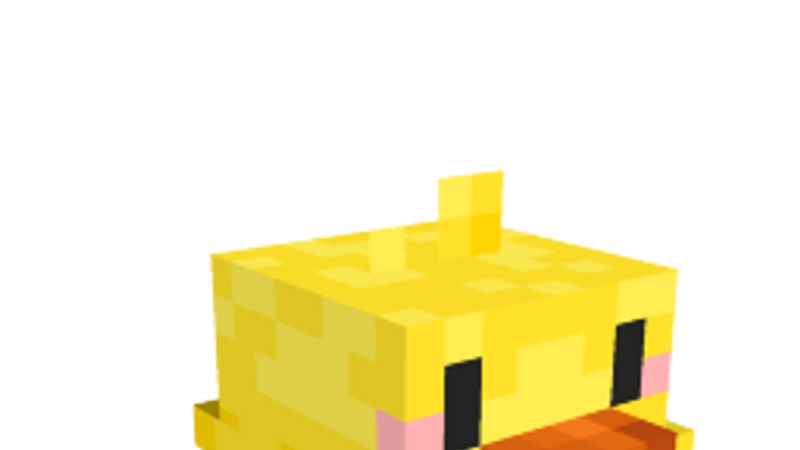 Yellow Ducky Head
