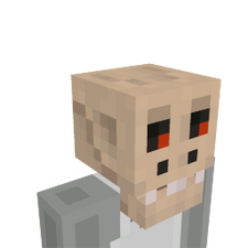 Skull Face Skull Face