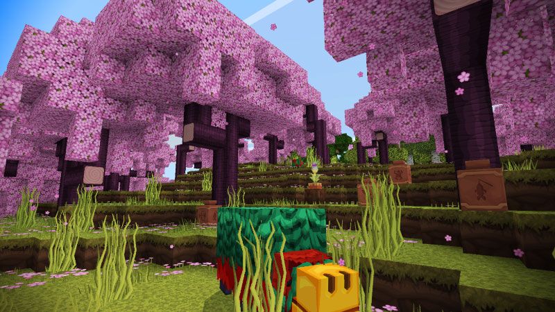 PureBDcraft by BDcraft