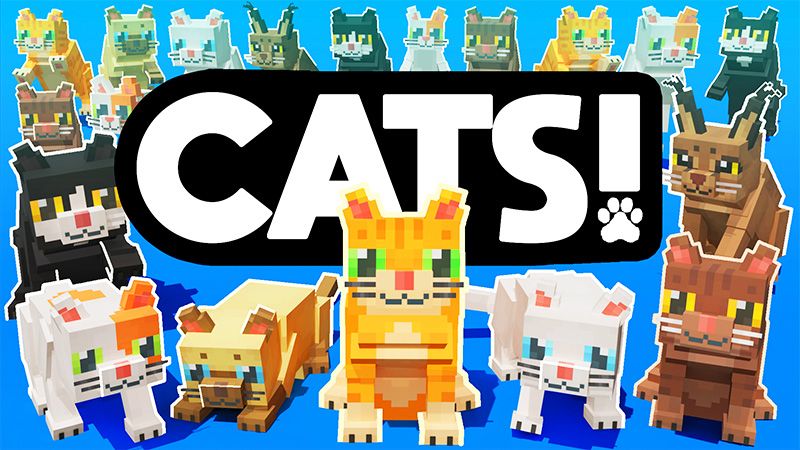 CATS on the Minecraft Marketplace by Wonder