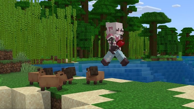 Capybaras Add-On by Asiago Bagels