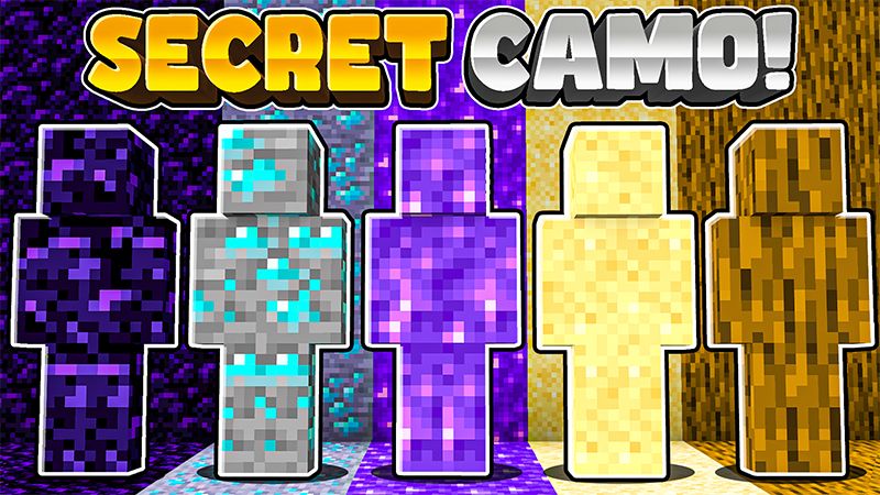 Secret Camo on the Minecraft Marketplace by Endorah Secret Camo on the Minecraft Marketplace by Endorah