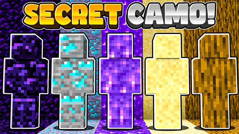 Secret Camo on the Minecraft Marketplace by Endorah