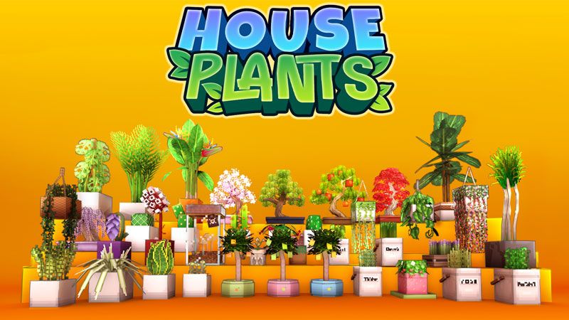 House Plants