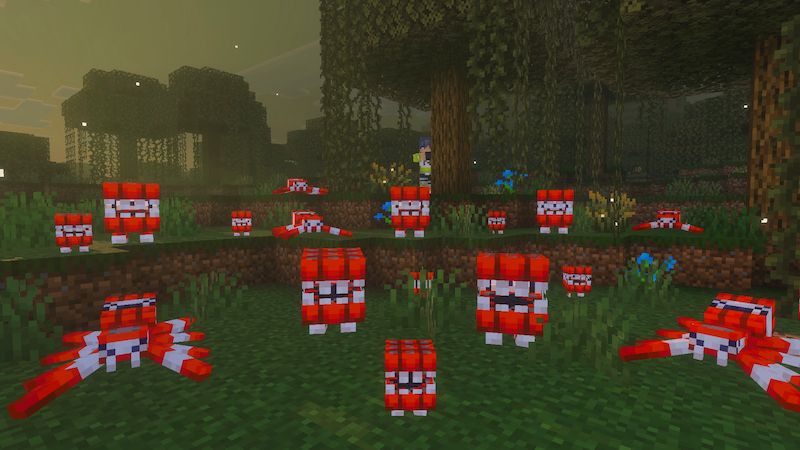 TNT+ Add-On by Builders Horizon