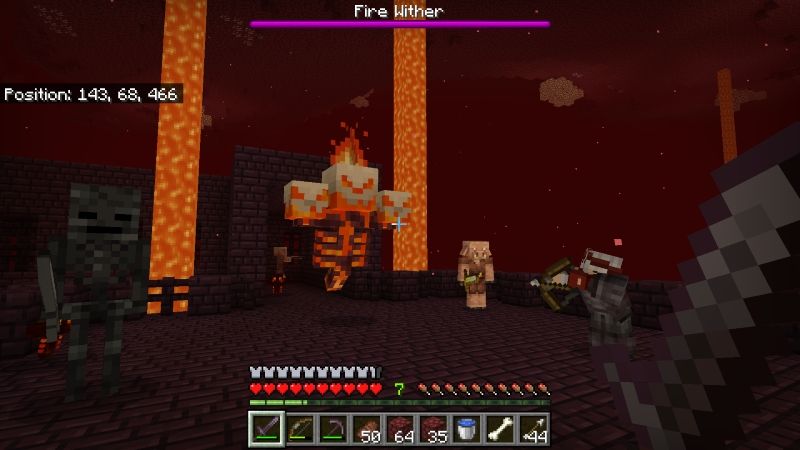 Wither Plus Add-on by A Foxy Toast