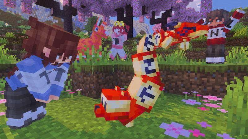 TNT+ Add-On by Builders Horizon