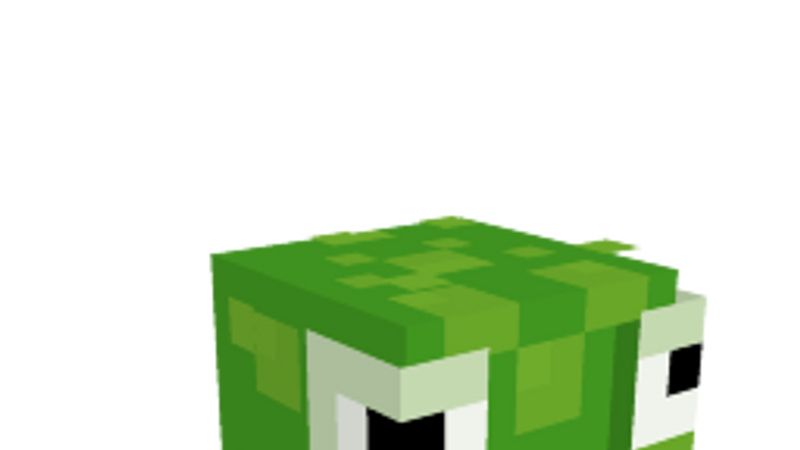 Frog Head on the Minecraft Marketplace by Squidgy Labs