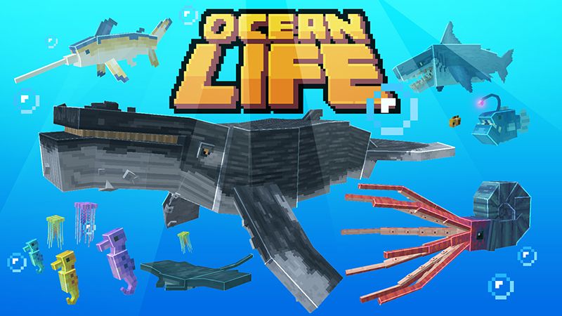 Ocean Life on the Minecraft Marketplace by Mine-North Ocean Life on the Minecraft Marketplace by Mine-North