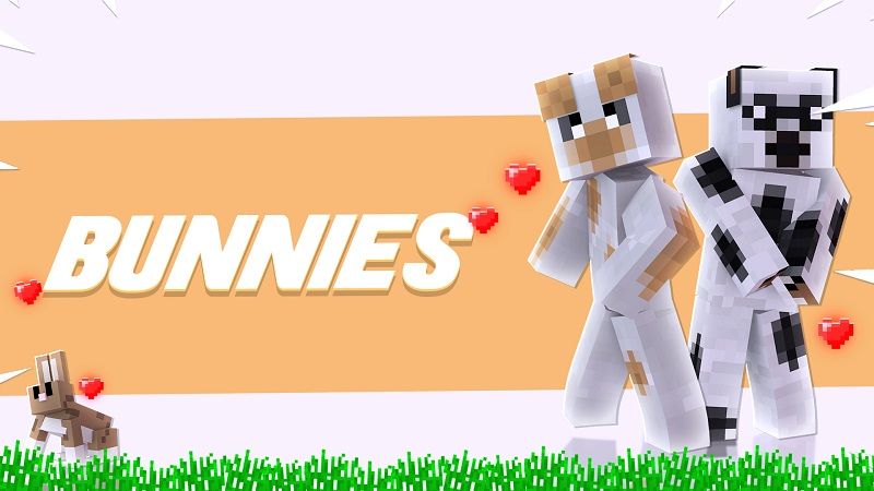 Bunnies Bunnies