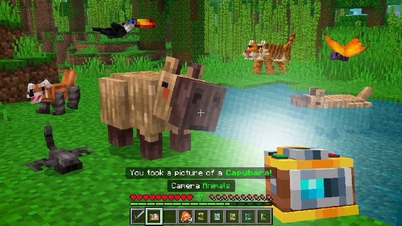 Animals Add-On by Mod Block