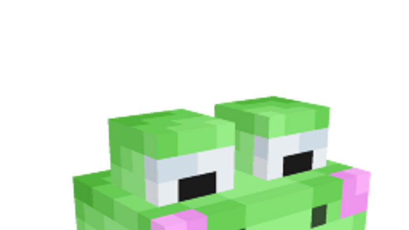 Frog Head on the Minecraft Marketplace by Doctor Benx