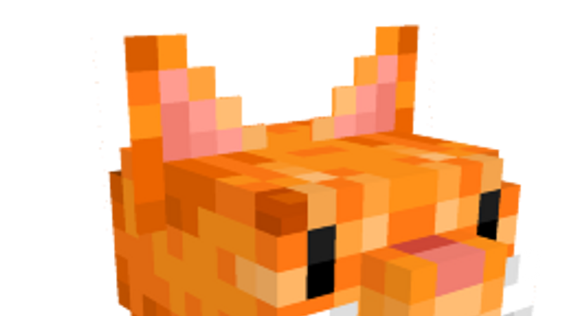 Orange KittyCat Hat on the Minecraft Marketplace by Podcrash