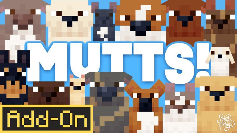 Rescue Dogs  MUTTS AddOn on the Minecraft Marketplace by StacyPlays