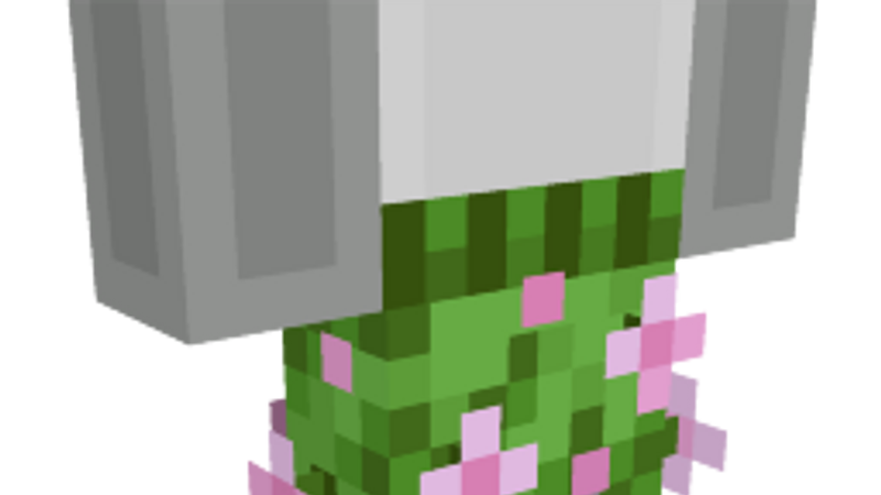 Pink Petal Shorts on the Minecraft Marketplace by Minecraft
