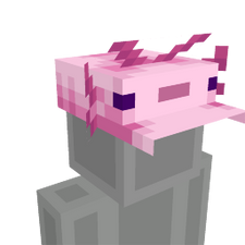 Axolotl Hat on the Minecraft Marketplace by Blu Shutter Bug Axolotl Hat on the Minecraft Marketplace by Blu Shutter Bug