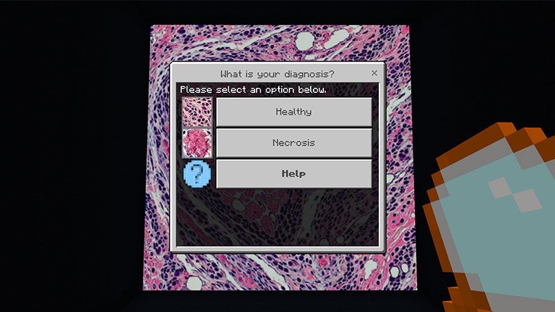 Detect & Diagnose by Causeway Digital
