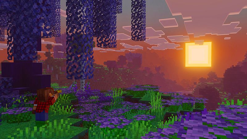 Forest Craft Add-On 4.0 by Float Studios