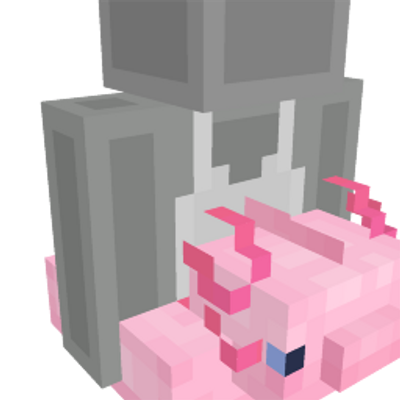 Axolotl Floaty on the Minecraft Marketplace by Tetrascape
