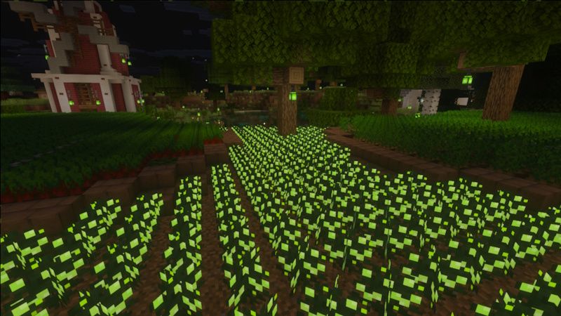 XP Berries by Block Perfect Studios