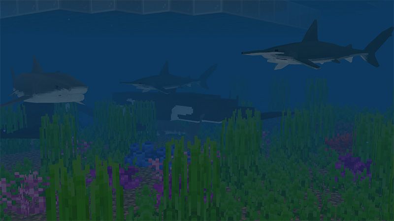 Under the Sea by MobBlocks