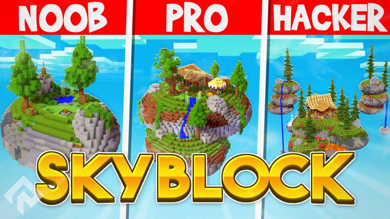 Noob vs Pro vs Hacker Skyblock