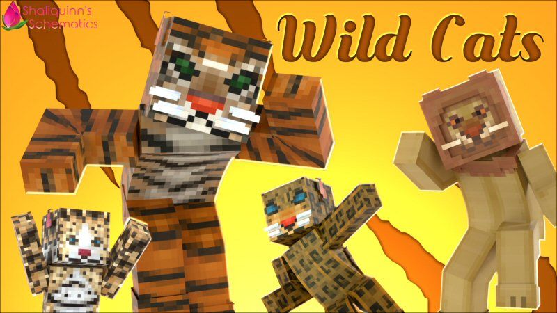 Wild Cats Wild Cats