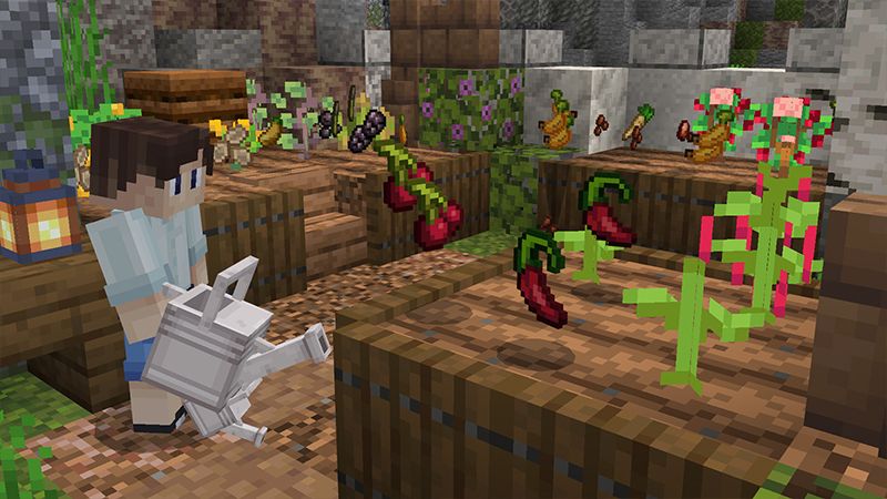 FOOD EXPANSION 1.2 by Minty