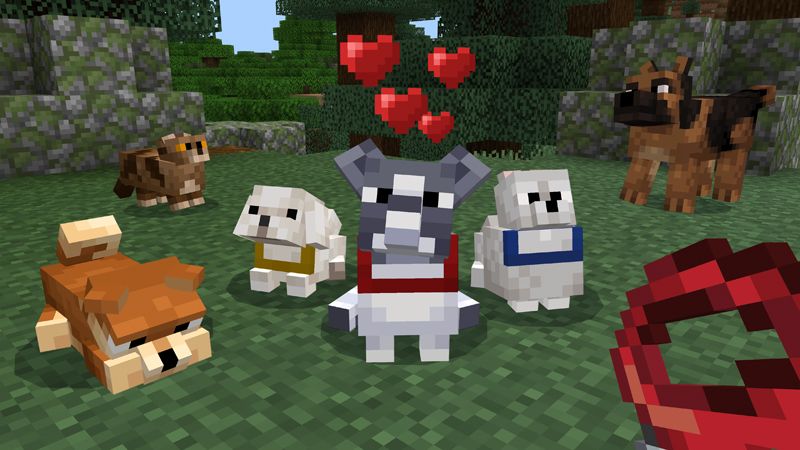 Spark Pets Add-On (Premium) by Spark Universe