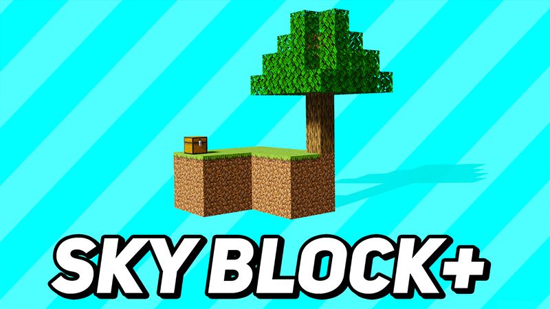 SKY BLOCK+