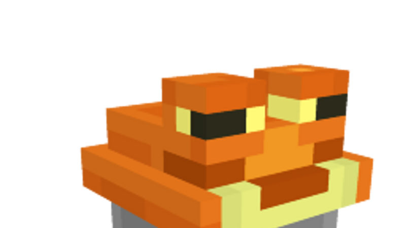 Orange Froggy Hat on the Minecraft Marketplace by TNTgames