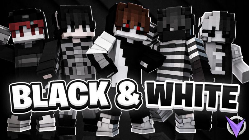 Black White by Team Visionary (Minecraft Skin Pack) - Minecraft ...
