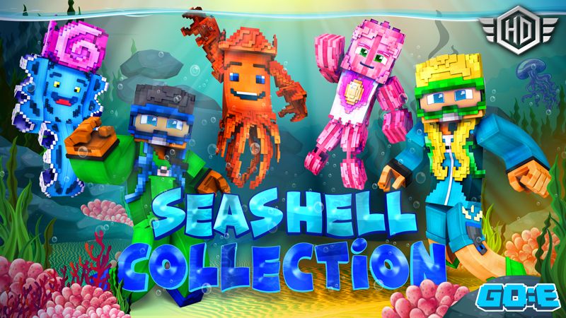 Seashell Collection