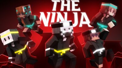 The Ninja on the Minecraft Marketplace by Eco Studios