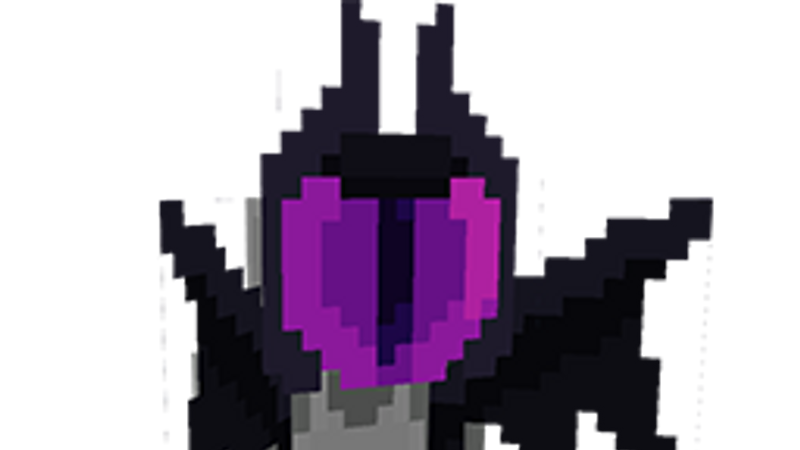 The Ender Lord's Wings