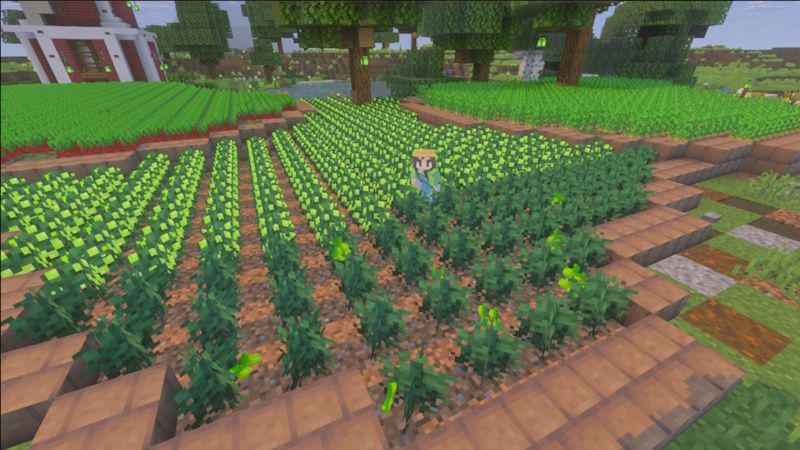 XP Berries by Block Perfect Studios